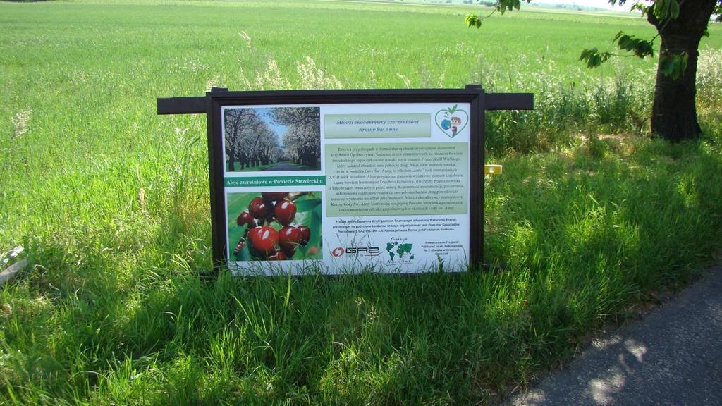 W ramach Dnia Ekologii uczniowie wzięli udział w dwudniowej wycieczce na Górę Św. Anny.