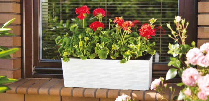 uchwytami do wyciągania planter and easy insert with handle dedykowane solidne uchwyty dedicated strong balcony holders korpus i wygodny wkład z uchwytami do wyciągania planter and easy insert with