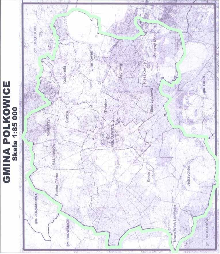 Załącznik Nr 1 13 do Statutu Gminy Polkowice GMINA POLKOWICE 13 W