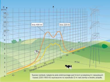 Pole elektromagnetyczne w otoczeniu linii i