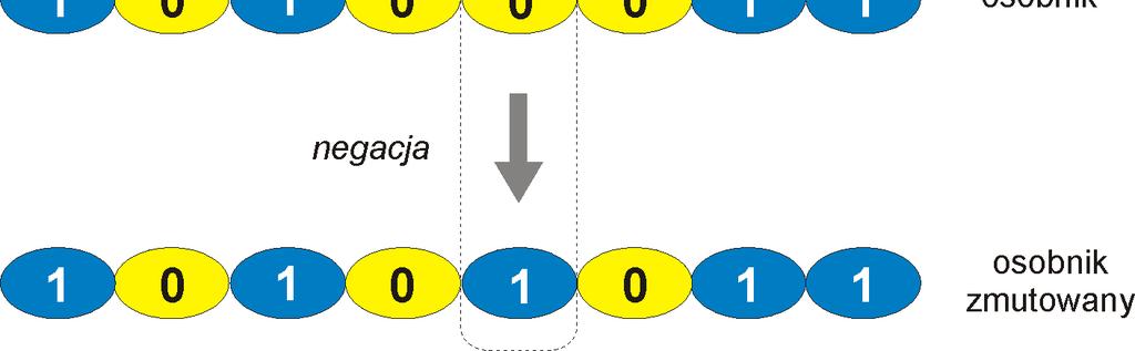 Mutacja genotypowa Przykład