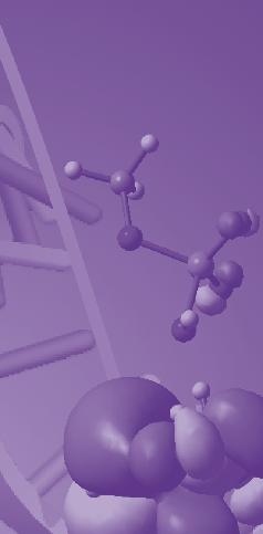 nts, academics, and researchers in chemistry, inorganic chemistry, 10 1 0 CHALLENGES AND ADVANCES IN COMPUTATIONAL CHEMISTRY AND PHYSICS 1