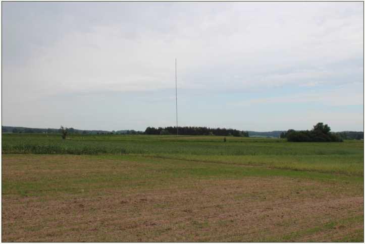 Fot. 1. Miejsce inwestycji - pole pod turbinę EIG B 2.1. Lasy i zadrzewienia Lasy i zadrzewienia śródpolne mogą stanowić potencjalne siedlisko i miejsce żerowania nietoperzy, głownie mroczków późnych (Eptesicus serotinus), nocków (Myotis spp.