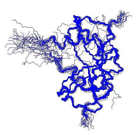 Wyznaczanie struktury białka Jądrowy rezonans magnetyczny (NMR - ang. Nuclear Magnetic Resonance). NMR pozwala na wyznaczanie struktury białek w roztworach.