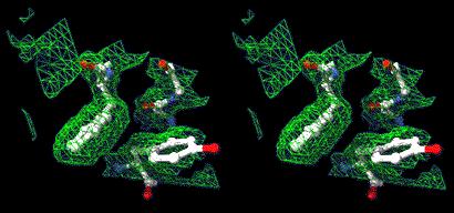 Wyznaczanie struktury białka Krystalografia Spośród metod eksperymentalnych służących wyznaczaniu trójwymiarowej struktury białek jest najdokładniejszą metodą.