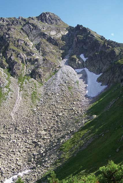 roślinną piętra alpejskiego (halnego), które ma w polskich Karpatach bardzo ograniczony zasięg. Stąd wynika ich szczególna wartość przyrodnicza.