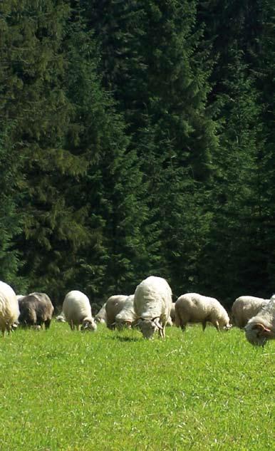 PLC120001 Tatry jest szczególnym przypadkiem obszaru Natura 2000 położonego w całości w obrębie parku narodowego, gdzie przyroda jest chroniona jako całość i gdzie obowiązuje szereg surowych zakazów.