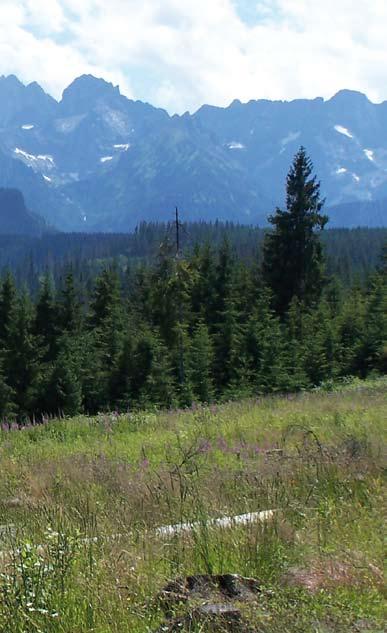 Obszar Natura 2000: PLC120001 Tatry Obszar Natura 2000 PLC120001 Tatry obejmuje cały masyw Tatr Polskich.