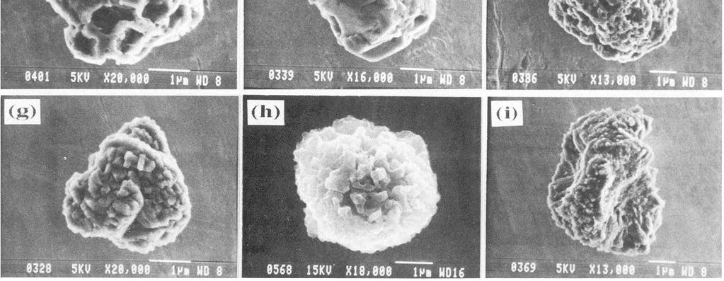 Anomalie izotopowe Diament (Cγ) 1-5 nm 1000 ppm Xe-HL 124, 136 Procesy: p, r Grafit (Cα) 1-10 µm 2 ppm Ne-E(L) 22 Na 22Ne r SiC (Cβ) SiC TiC, ZrC (Cε) nm 0,1-10