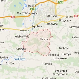 Rysunek 1. Położenie gminy Pleśna na terenie Polski. Źródło: http://maps.google.com. Graniczy z gminami: Tarnów, Zakliczyn, Gromnik, Tuchów i Wojnicz.