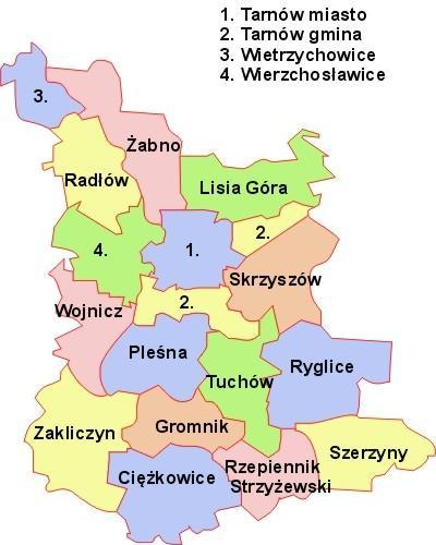 10. Rzuchowa. 11. Świebodzin. Wsie gminy Pleśna są na ogół duże, przy czym różnice pomiędzy nimi nie są zbyt wielkie. Położenie gminy Pleśna na tle powiatu tarnowskiego przedstawia rysunek 2.