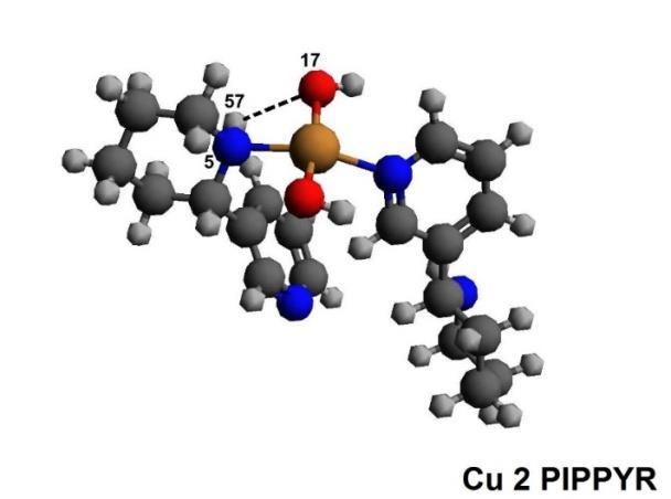 [%] Populacja konformerów N-Piperydynowego 0,0 c 181,8 0,428482-0,02687 0,0 d 93,2