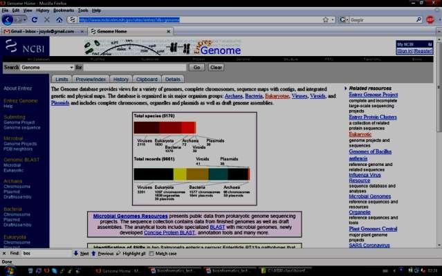 Genome- SEKWENCJE DNA http://www.ncbi.nlm.nih.gov/sites/entrez?db=genome Genome 1.