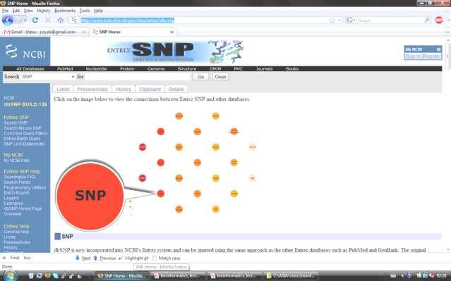 SNP- POLIMORFIZM POJEDYNCZYCH NUKLEOTYDÓW http://www.ncbi.nlm.nih.gov/sites/entrez?db=snp SNP 1.