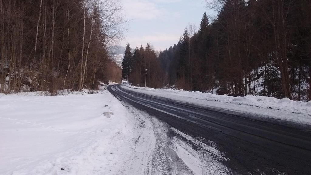 i lamp oświetleniowych oraz chodnika. Nie pozwala na wykorzystanie w pełni potencjału krajobrazowo-przyrodniczego tego miejsca.