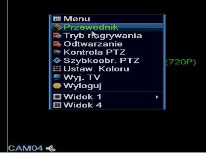 Podgląd służy do wyświetlania obrazów z kamer w zależności od wybranego podziału. Do wyboru podziału służy szybkie menu.