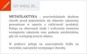 .pl Jako hodowcy mamy bardzo duży problem z profilaktyką. Józef Wojewódzki, hodowca i członek PZPBM 4. Szczepienie krów matek Bardzo ważna jest także profilaktyka matek naszych cieląt.