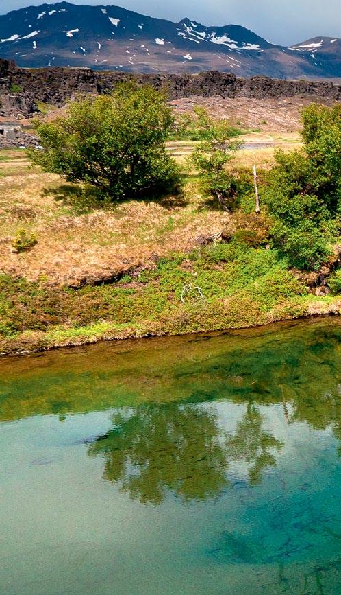 Na terenie doliny usytuowane jest Thingvallavatn największe jezioro Islandii. Zajmuje ono powierzchnię 84 km², a jego maksymalna głębokość wynosi 114 m.