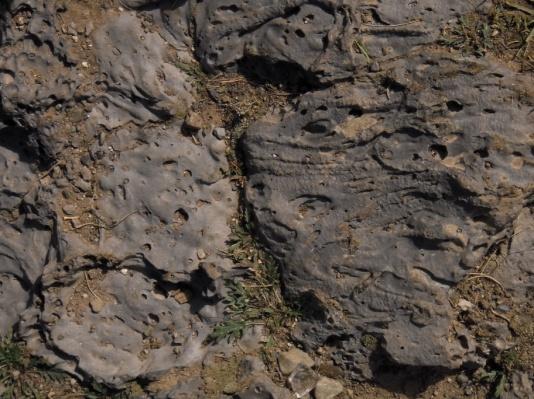132 Katarzyna Machowiak, Arkadiusz Madaj, Monika Nowak, Iwona Jankowiak geologicznych na obszarze dzisiejszych Sudetów nie zawsze panował klimat umiarkowany.