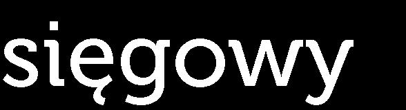 zaciągnięte zobowiązania finansowe chorągwi względem innych podmiotów oraz nadzoruje spłatę zobowiązań zaciągniętych względem chorągwi, wykonuje decyzje, zarządzenia oraz uchwały w zakresie