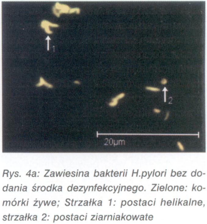 Adaptacje