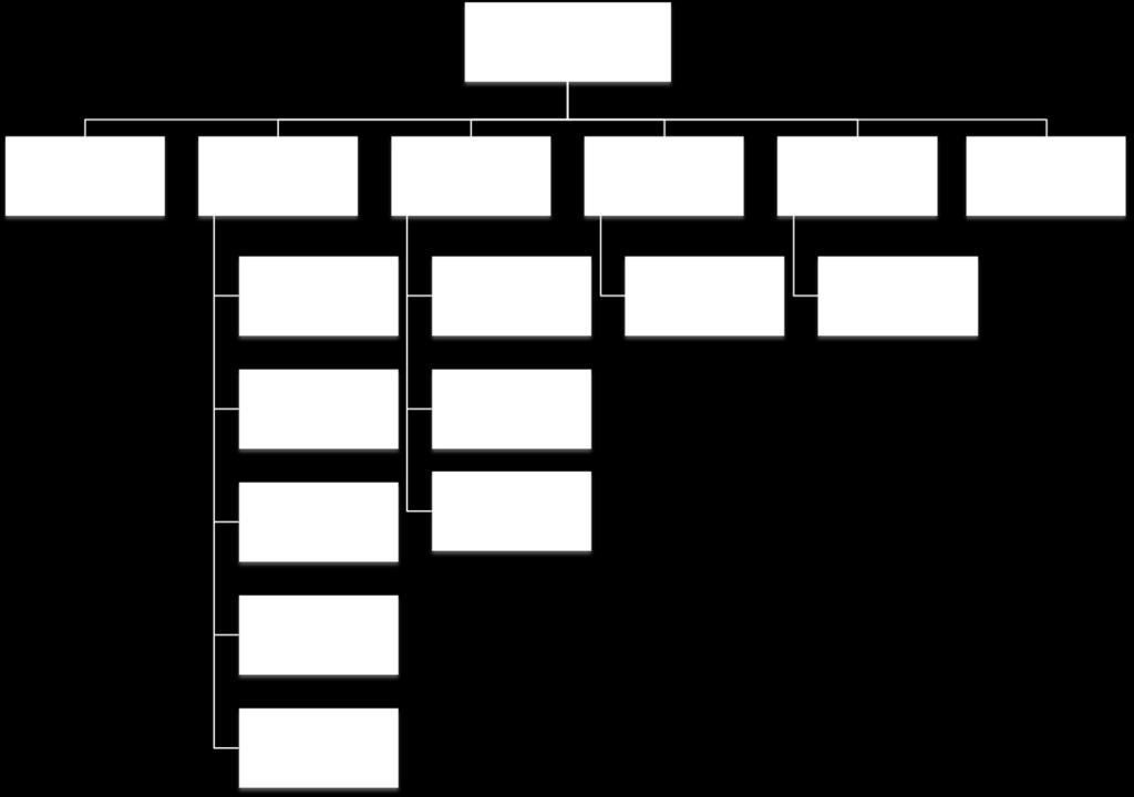 Rysunek 1 Struktura grupy kapitałowej zarządzanej przez GRUPA 