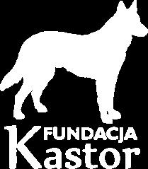 Fundacji Kastor w