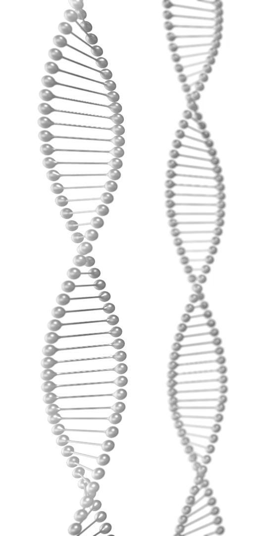 KOLAGENY NATIVE A KREMY DNA Uzupełnienie