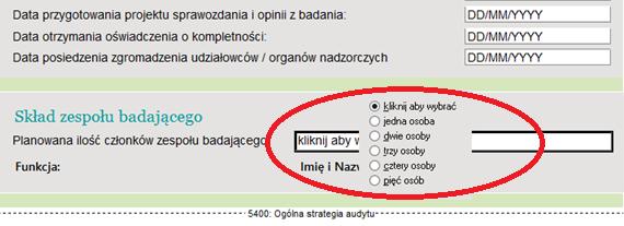 W wielu miejscach w kartach roboczych występują zmienne globalne. Możliwe do edycji pola rozpoznasz po białym tle.