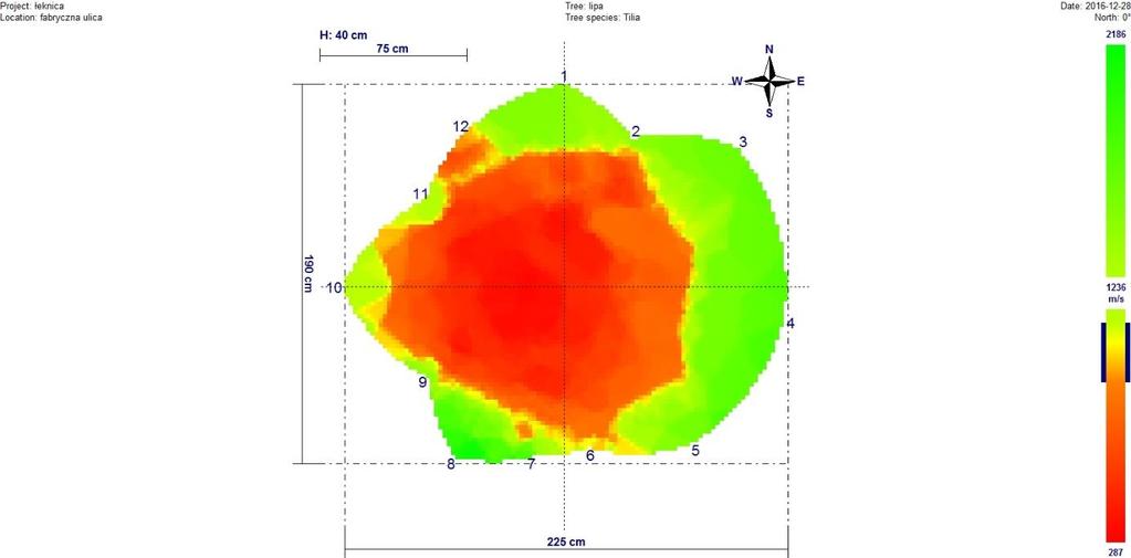 WYNIKI POMIARÓW: Poniższy wykres nr 1 obrazuje stan / stopień rozkładu pnia na wysokości 40cm wewnątrz konturu pnia drzewa w formie palety barw, odzwierciedlających prędkość rozchodzenia się impulsu