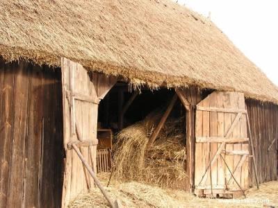 Ubezpieczenie mienia od ognia i innych zdarzeń losowych (ryzyka