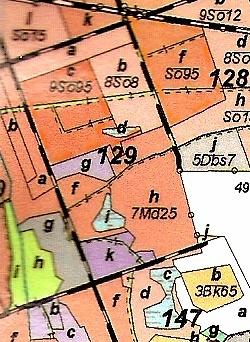 Powierzchnia 4,15 ha, TSL- LMśw, - Zdjęcia fitosocjologiczne,