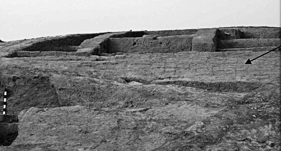 Trench 11 L. Outer wall of the manor house and the walls of rooms adjacent to it (Photo B. Kaim).