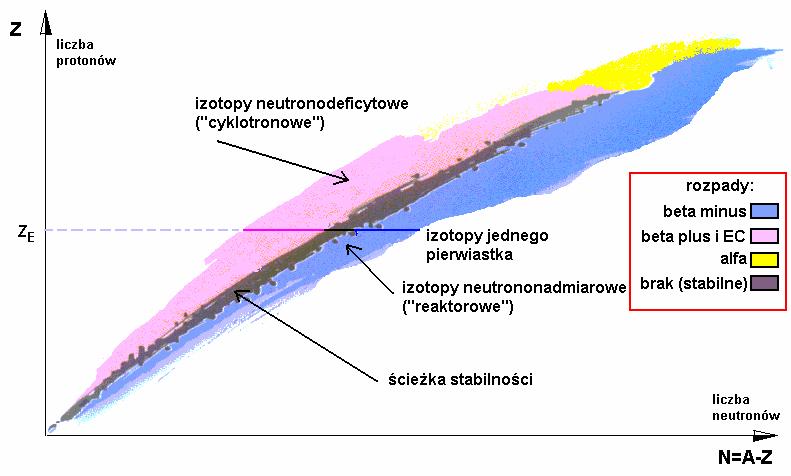 Rozpad promieniotwórczy β+ Α Ζ X β Ζ Α Y 1 0