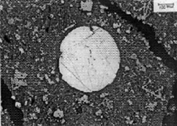 96 H. Kucha, R. Cichowska Fig.5. Microphotograph of converter slag from HL chalcocite (oval light) with light metallic silver inclusions. Reflected light. Scale bar 100 µm Table 1.
