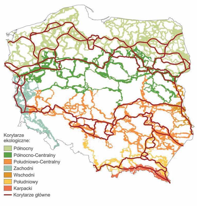 PRZEBIEG KORYTARZY GŁÓWNYCH I PODZIAŁ