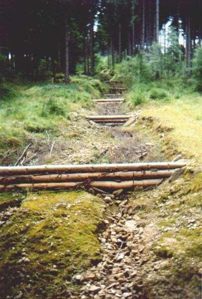 154 Płotek z belek drewnianych Belki drewniane ustawione co kilkanaście metrów, prostopadle do kierunku szlaku, mające