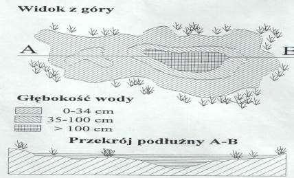 49 Zbiornik małej retencji dla ochrony płazów i gadów Zbiornik o głębokości 0,5-1,5m, powierzchnia 1,5-15