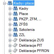 Listy Kadry i Płace Struktura list w obrębie modułu Kadry i Płace została podzielona tematycznie aby ułatwić użytkownikowi dotarcie do interesujących go zagadnień.