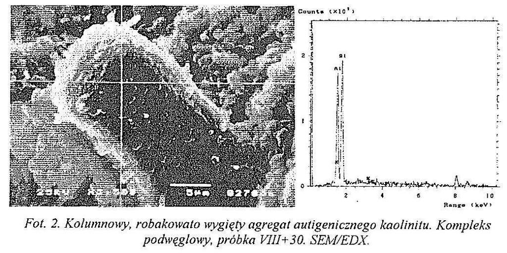 Skład chemiczny skał ilastych kompleksu podwęglowego (P) w zakresie pienviastków głównych i podrzędnych jest zróżnicowany. Zawartość Si02 waha się od około 60 do ponad 77% wag.