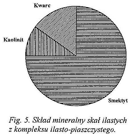 Skały ilaste kompleksu ilasto piaszczystego (I-P) Są to iłowce o barwie oliwkowo-zielonej oraz popielatej, słabo zwięzłe, bezstukturalne, zapiaszczone. W ich składzie mineralnym (Fig.