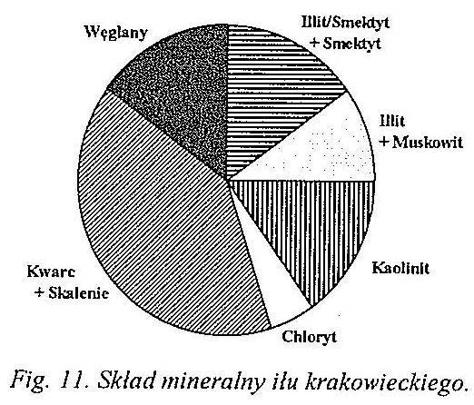 W ich składzie mineralnym występują minerały ilaste, kwarc, skalenie i węglany. Udział minerałów ilastych i sumy pozostałych składników jest zbliżony (Fig. 11).