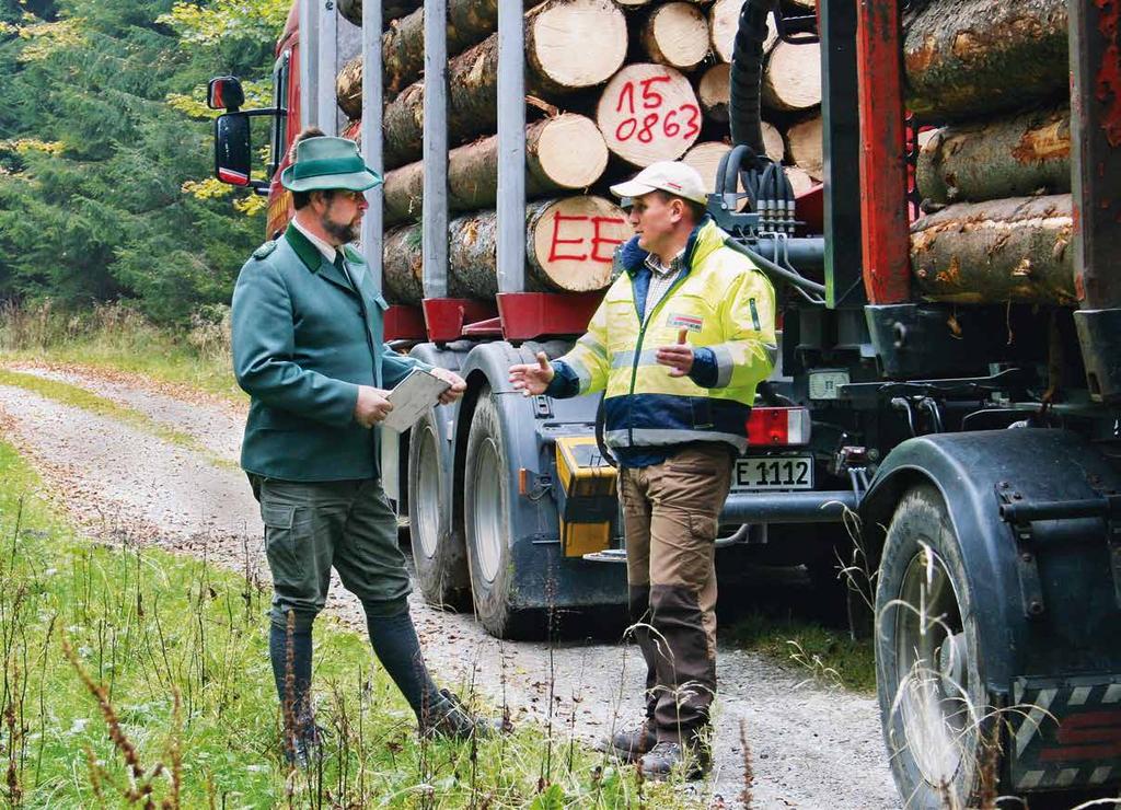Jak wygląda kontrola dostaw drewna? Lasy zapewniają wypoczynek i mają znaczenie kulturowe, społeczne i gospodarcze.