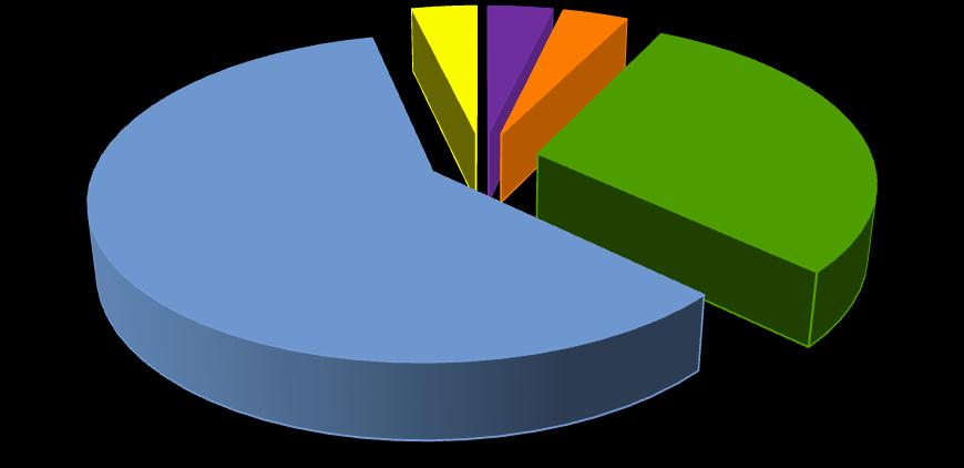 4% 4% 4% 30% 59% gaz elektryczne kotłownia miejska