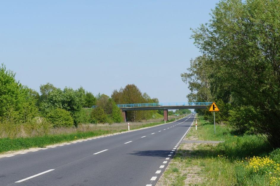 wojną światową. Droga miała wówczas połączyć Berlin ze znajdującym się na wschodnich rubieżach Rzeszy - Królewcem.