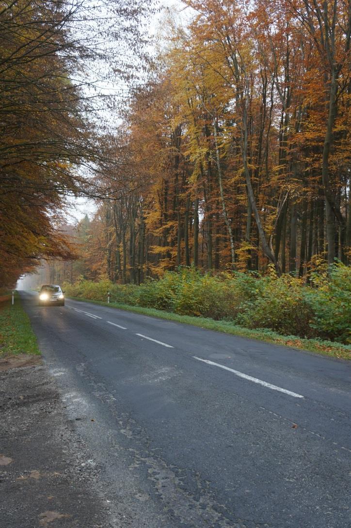 13. Przebudowa DW nr 102 na odcinku Trzebiatów Bezpraw Jest to droga o dużym natężeniu ruchu