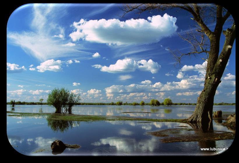 Szlak Kościołów Drewnianych GEOPARK ŁUK