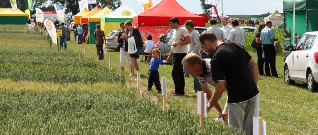 WAŻNIEJSZE IMPREZY TARGOWO-WYSTAWIENICZE Targi AGRO-TECH Dni Pola w Grubnie technologia 230 poletek odmianowych Dni Otwartych Drzwi w Zarzeczewie Targi