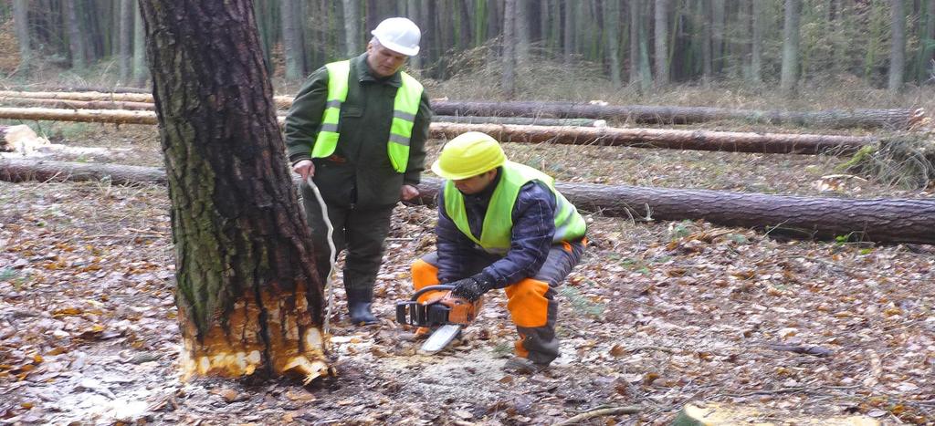 NOWY ZAWÓD - NOWA SZANSA - dla rolników i mieszkańców