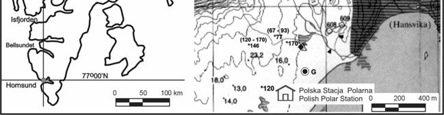 zróżnicowany. Terasa nadmorska zlokalizowana jest na wysokości ok. 6 m n.p.m., w obszarze występowania skał prekambryjskich grupy Isbjornhamna, formacji Ariekamen.